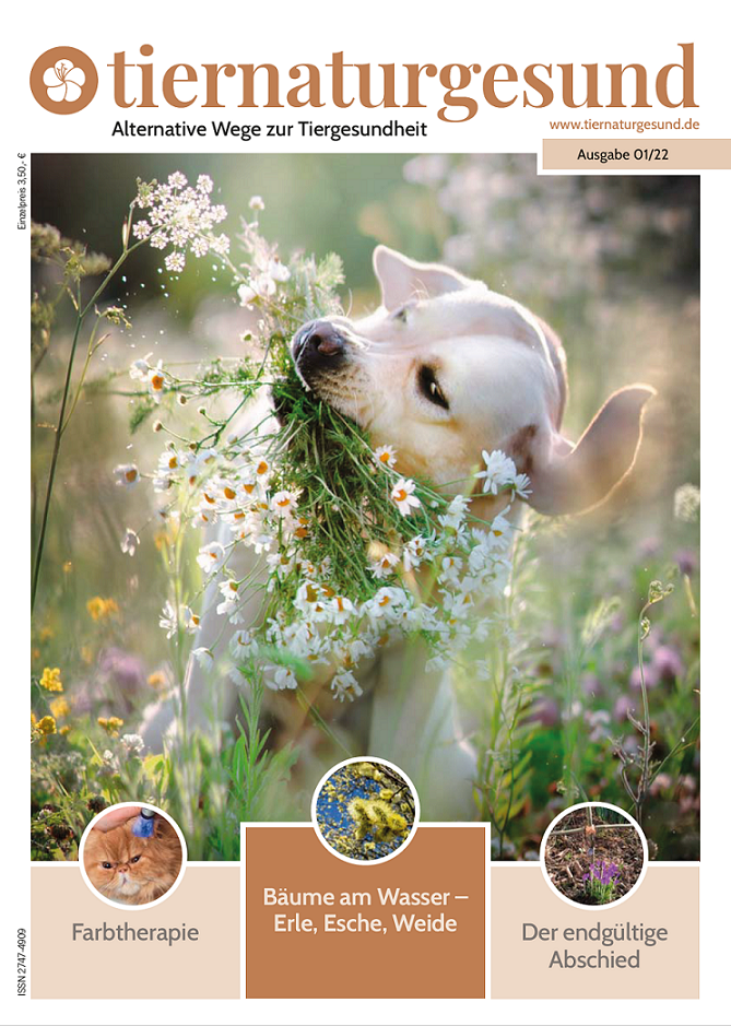 tiernaturgesund_magazin_02_2022_titelseite